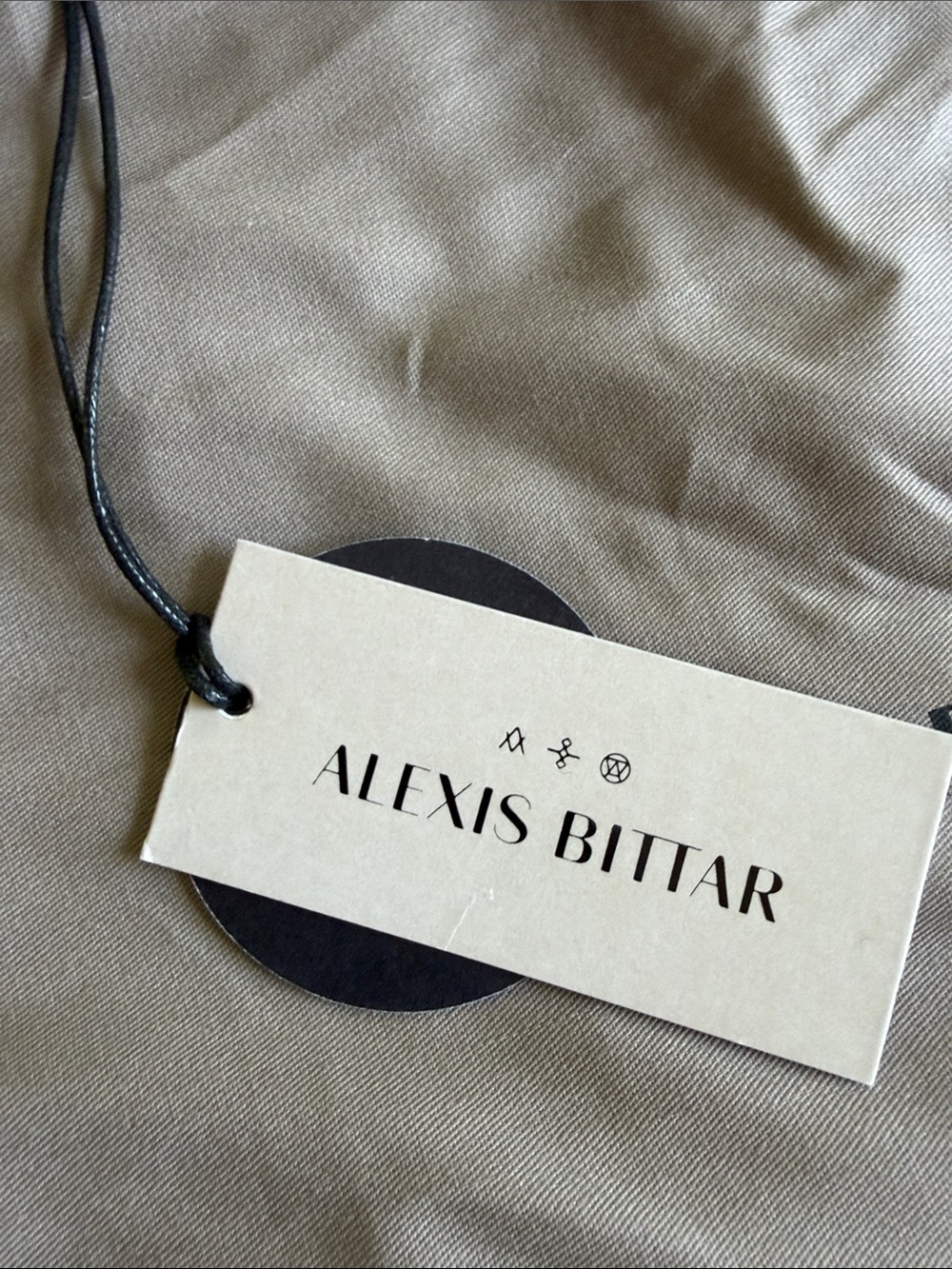 Alexis Bittar Black Leather Crossbody with Gold Lion Hardware - Picture 8 of 9